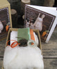 Kata Golda Bunnies and Carrot Felt Stitching DIY Kit