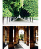 Paris by Janelle McCulloch