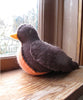 Kata Golda Robin and Eggs Felt Stitching DIY Kit